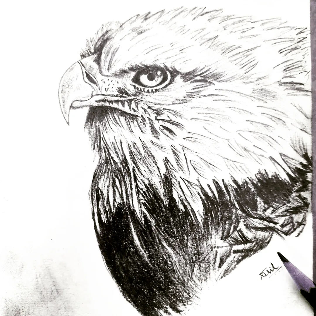 625882517_18066858410217622_5474764667545483309_n 1