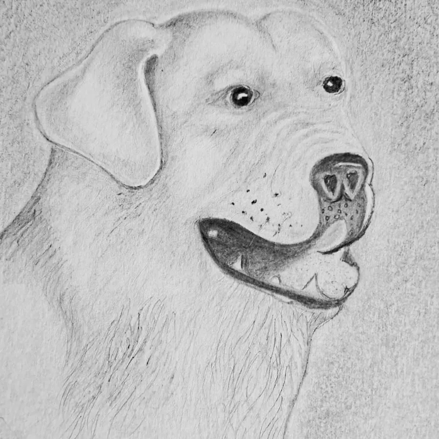 639472448_18383933953081499_7878903624754199149_n 1